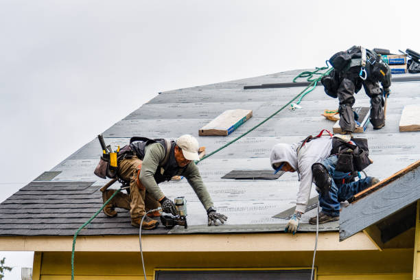 Professional Emergency Roof Repair technician working in Stewartville, AL